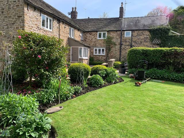 Maintained garden with planting