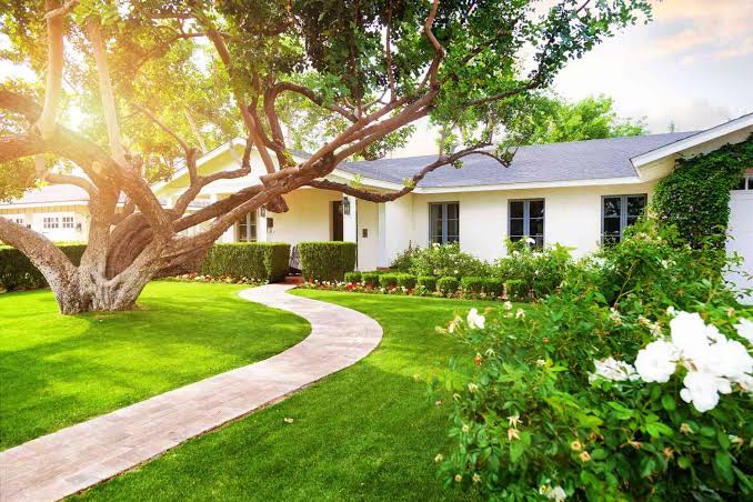 Garden design and planting